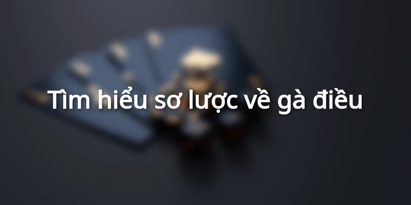 dieu-da-ngay-nao-tot-nhat-gioi-thieu