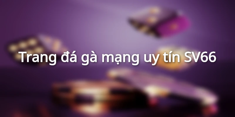 Trang đá mạng gà uy tín SV66
