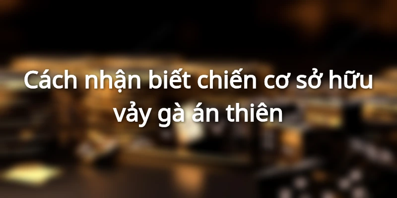 vay-ga-an-thien-uu-diem