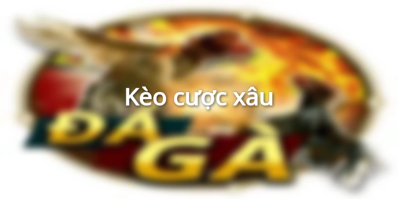 ca-cuoc-boxing-cuoc-xau